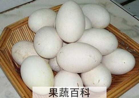 鹅蛋不能和什么一起吃