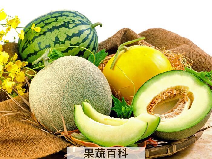 “瓜中之王”哈密瓜的功效与作用，为何大家如此热爱它？