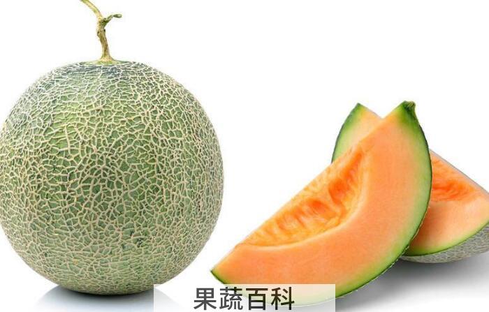 “瓜中之王”哈密瓜的功效与作用，为何大家如此热爱它？
