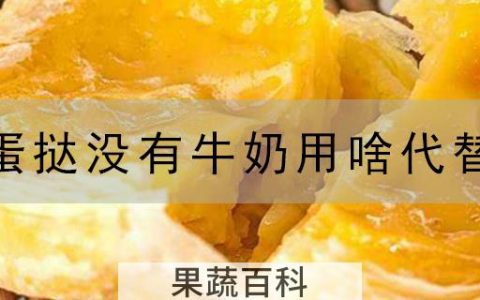 蛋挞没有牛奶用啥代替