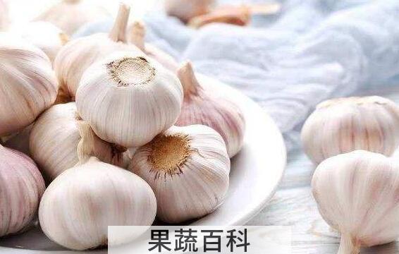 癌细胞最怕的三种蔬菜