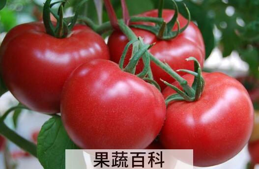癌细胞最怕的三种蔬菜