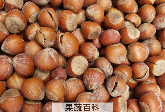 “坚果之王”榛子的功效作用，多吃榛子好处多多
