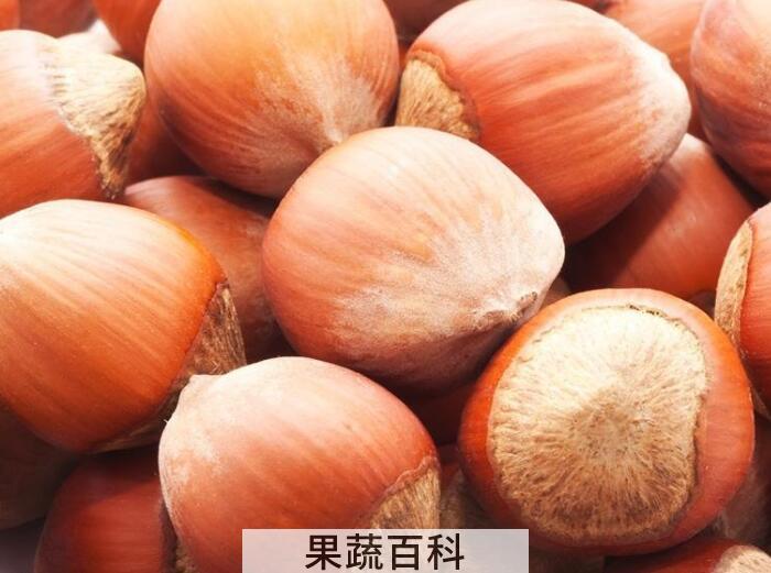 “坚果之王”榛子的功效作用，多吃榛子好处多多