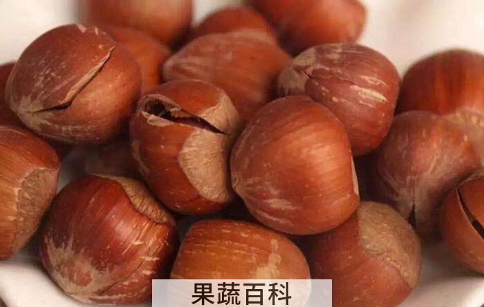 “坚果之王”榛子的功效作用，多吃榛子好处多多