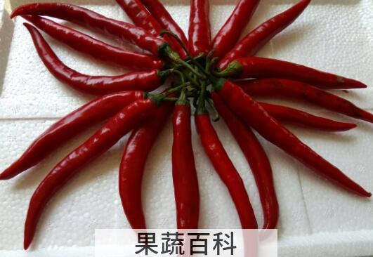 二荆条和线椒的区别