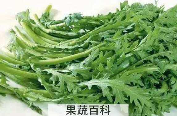 女人吃茼蒿的好处与坏处