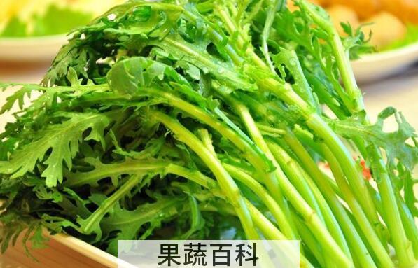 女人吃茼蒿的好处与坏处