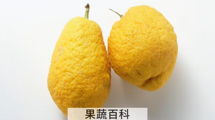 香橼的功效与作用及禁忌，它的药理作用不容忽视