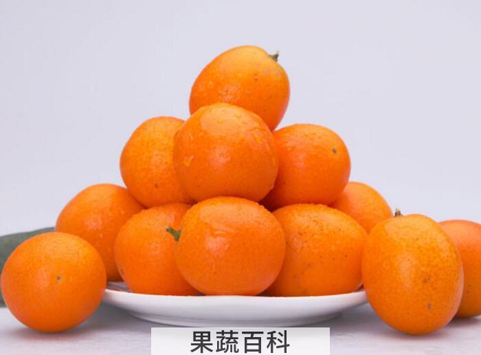 金桔美容养颜还养胃，金桔的功效与作用原来这么多！