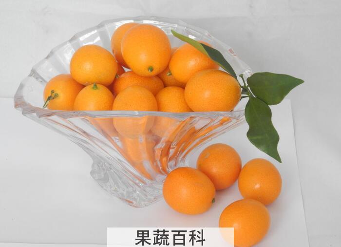 金桔美容养颜还养胃，金桔的功效与作用原来这么多！