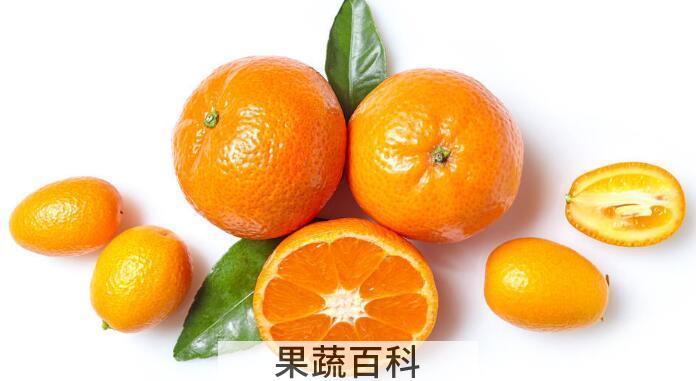 金桔美容养颜还养胃，金桔的功效与作用原来这么多！