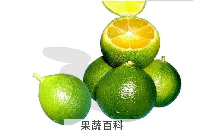 金桔美容养颜还养胃，金桔的功效与作用原来这么多！