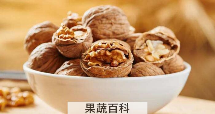 “长寿果”核桃的功效与作用，带你一起走进核桃的世界