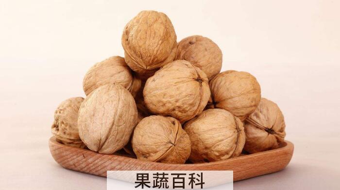 “长寿果”核桃的功效与作用，带你一起走进核桃的世界