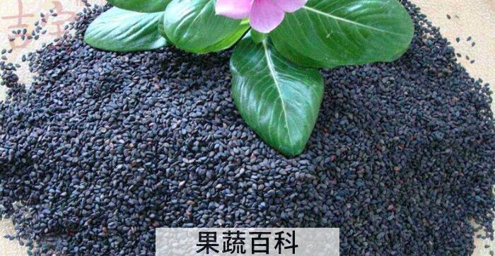 芝麻小吃俘获众人心，详解黑芝麻的功效与作用