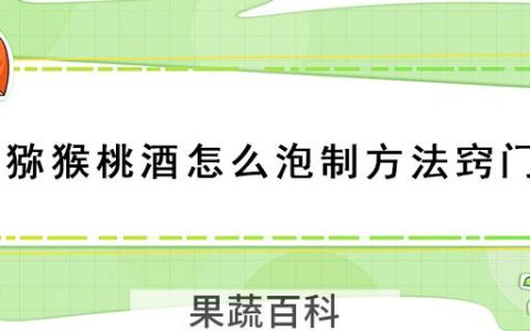 猕猴桃酒怎么泡制方法窍门