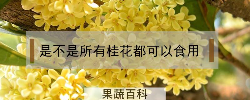 是不是所有桂花都可以食用