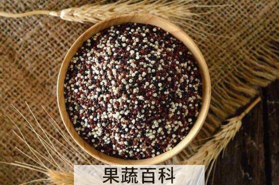 哪些人不适合吃藜麦 吃藜麦的好处