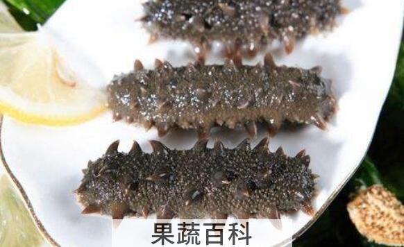 腰参和刺参的区别 吃腰参的好处