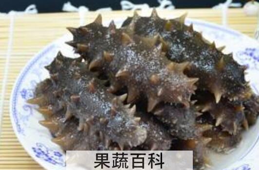 腰参和刺参的区别 吃腰参的好处
