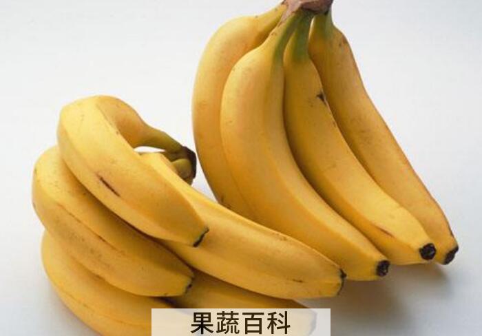 香蕉的功效与作用，每天吃香蕉具有哪些好处