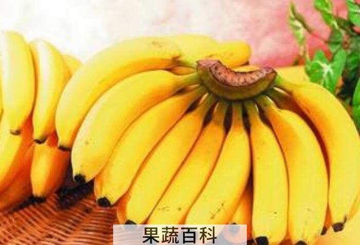 香蕉的功效与作用，每天吃香蕉具有哪些好处