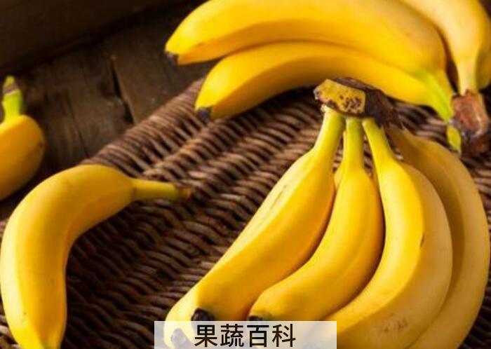 香蕉的功效与作用，每天吃香蕉具有哪些好处