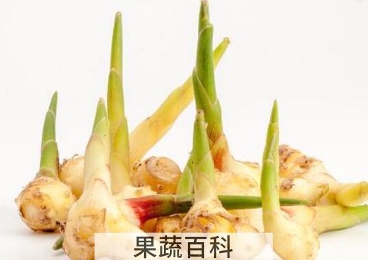 生姜发芽能吃吗 发芽的土豆能吃吗