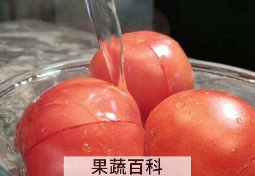 西红柿如何去皮 番茄怎么去皮