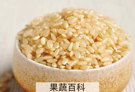 糙米和大米的区别
