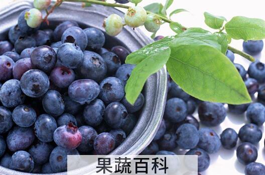 对眼睛好的食物有哪些