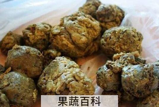 外用蜂胶膏的作用与功效