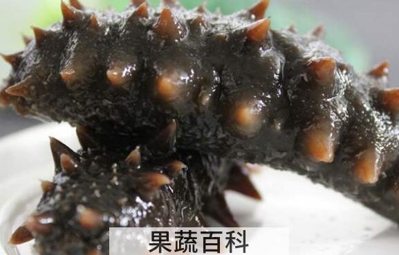 金沙参和海参的区别 金沙参的功效