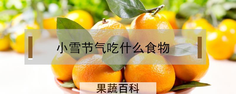 小雪节气吃什么食物