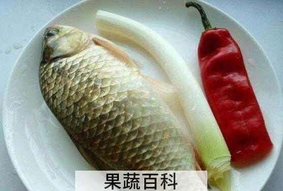 草鱼和鲫鱼的区别