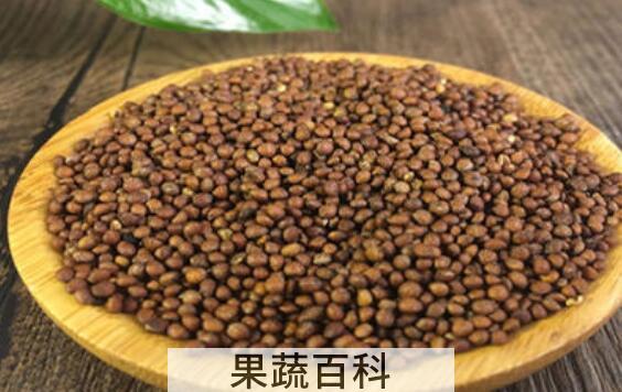 苏子籽怎么吃 苏子籽家常吃法大全