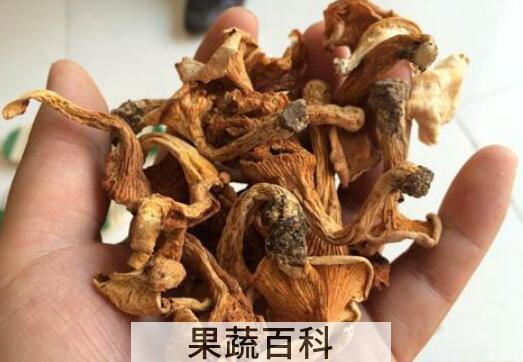 金丝菌怎么做好吃 金丝菌的食用方法