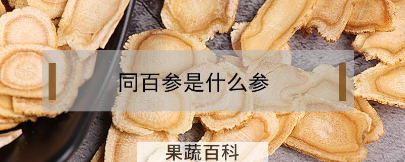 同百参是什么参