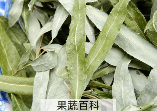 柳叶茶的功效与禁忌