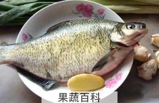 武昌鱼和鳊鱼的区别 吃武昌鱼的好处