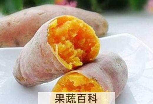 吃蒸红薯的功效与作用 吃蒸红薯有什么好处
