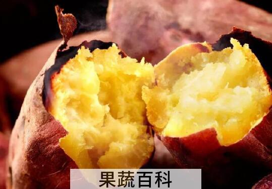 坚持每天吃红薯的好处