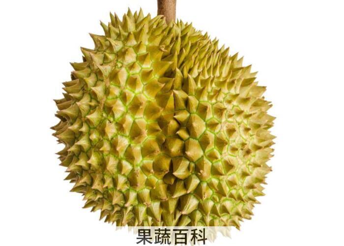 “热带水果之王”还能防癌抗癌？揭秘榴莲的功效与作用