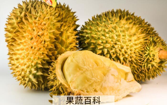 “热带水果之王”还能防癌抗癌？揭秘榴莲的功效与作用