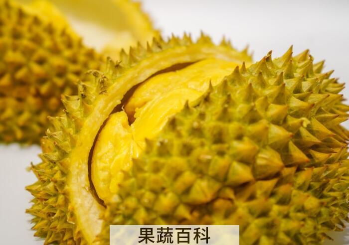 “热带水果之王”还能防癌抗癌？揭秘榴莲的功效与作用