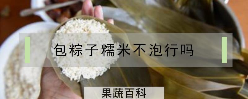 包粽子糯米不泡行吗
