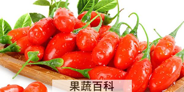 新鲜枸杞可以直接吃吗