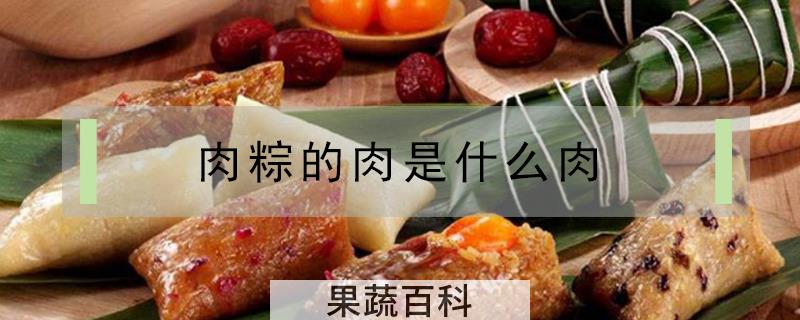 肉粽的肉是什么肉