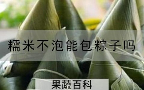 糯米不泡能包粽子吗